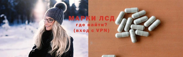 спайс Баксан