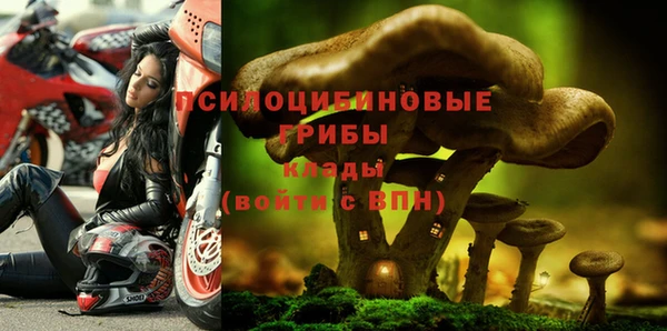 спайс Баксан