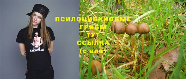 спайс Баксан