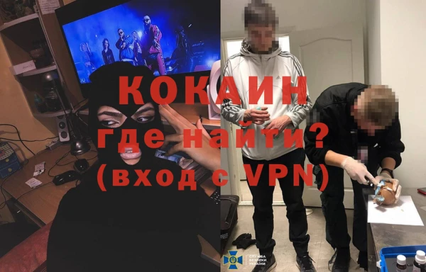 крисы Белокуриха