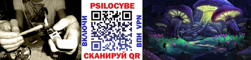 купить закладку  Дагестанские Огни  Псилоцибиновые грибы прущие грибы 